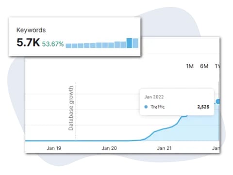 seo rankings